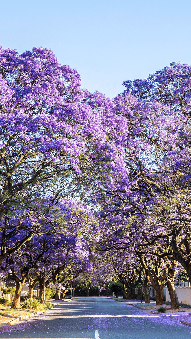 Johannesburg