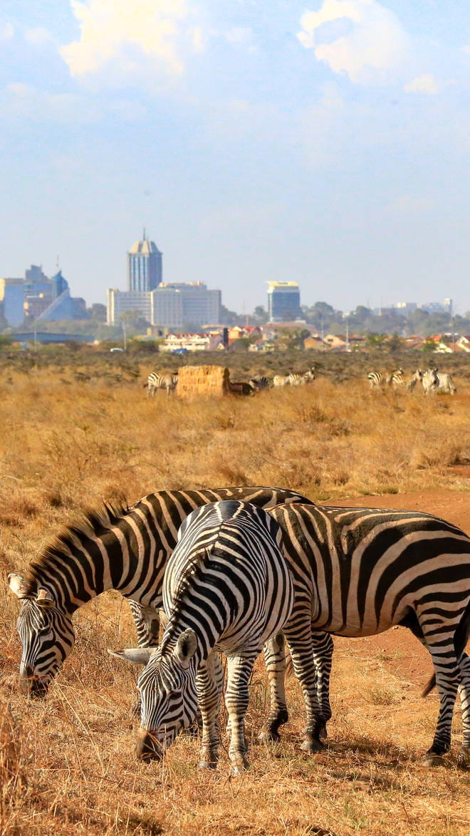 Nairobi