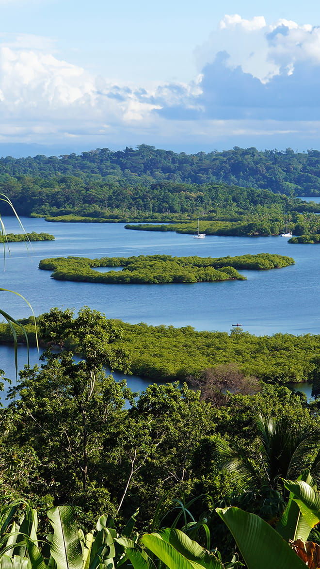 Bocas del Toro