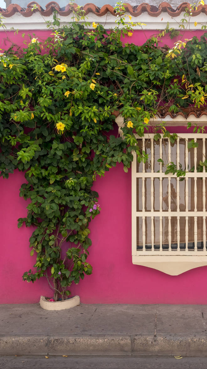 Cartagena de Indias