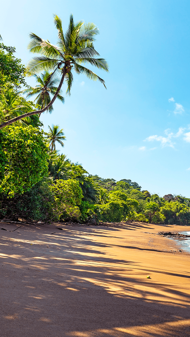 Osa Peninsula