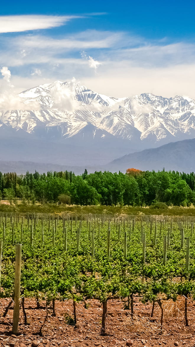 Mendoza