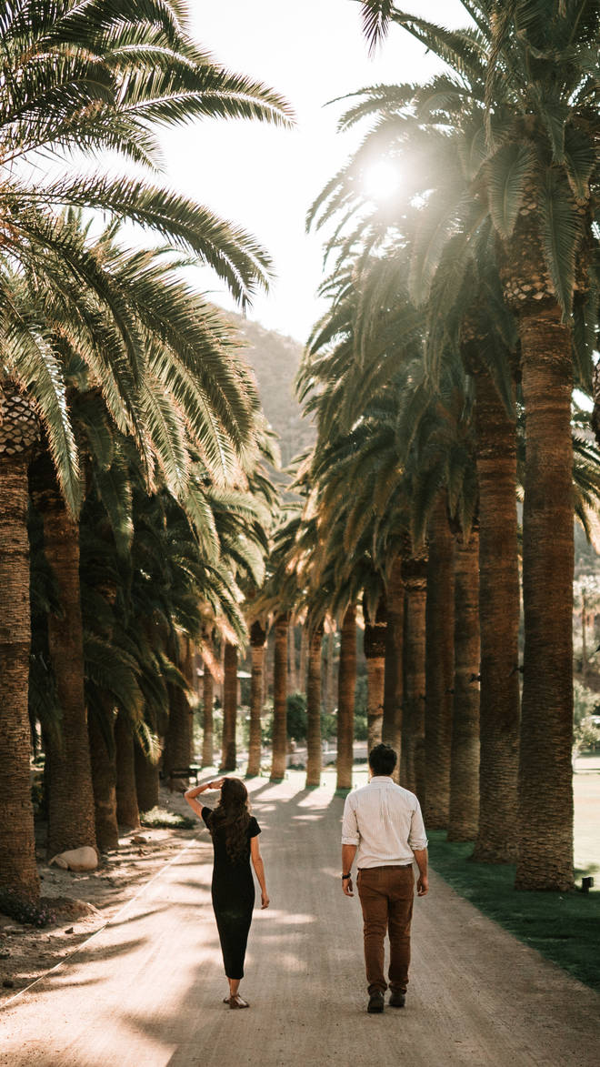 Arizona