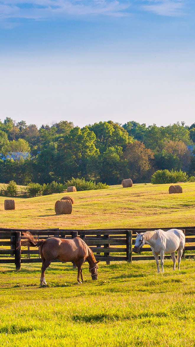 Kentucky