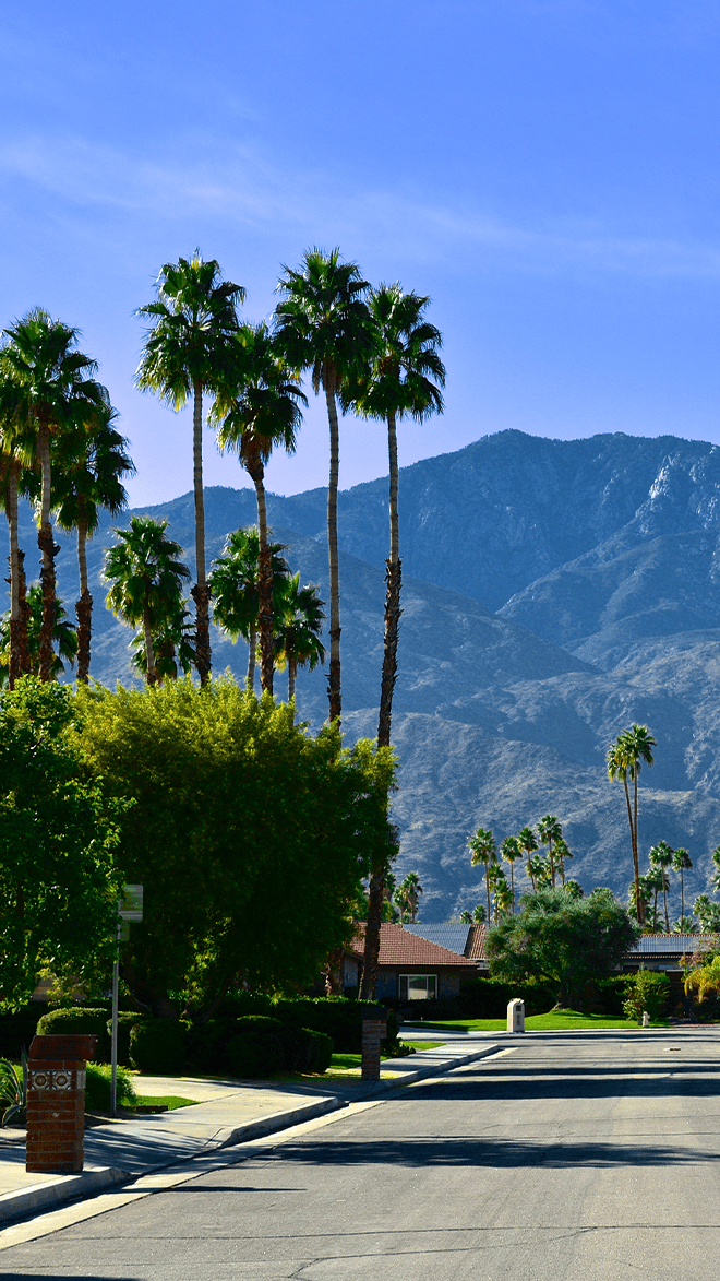 Palm Springs