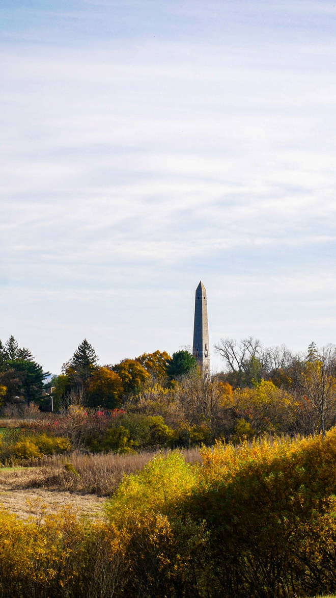 Saratoga Springs