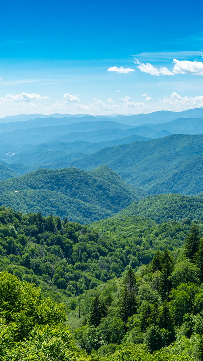 Tennessee