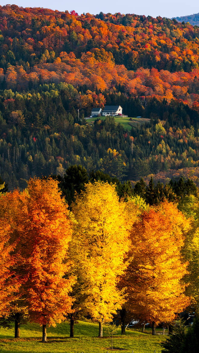 Vermont