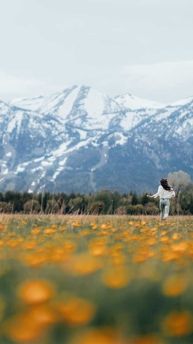 Wyoming