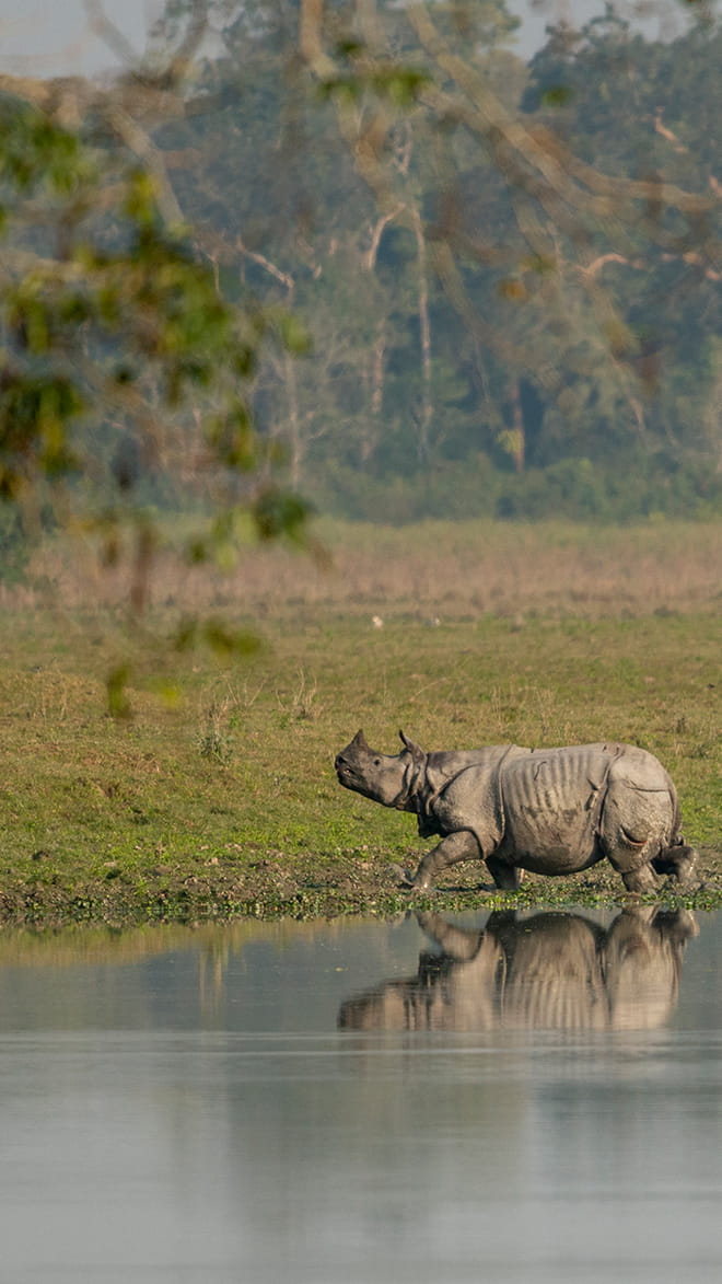 Assam