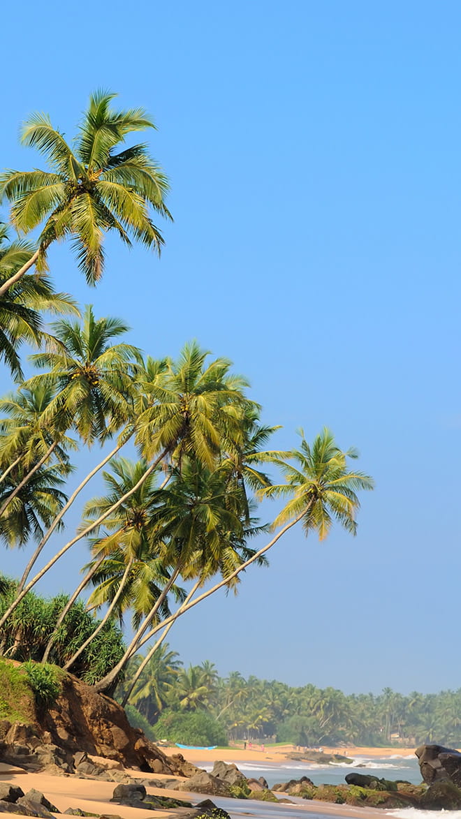 Bentota
