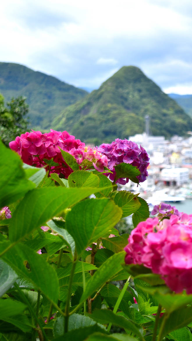 Izu
