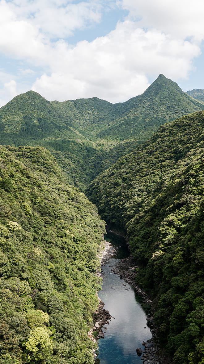 Yakushima Island