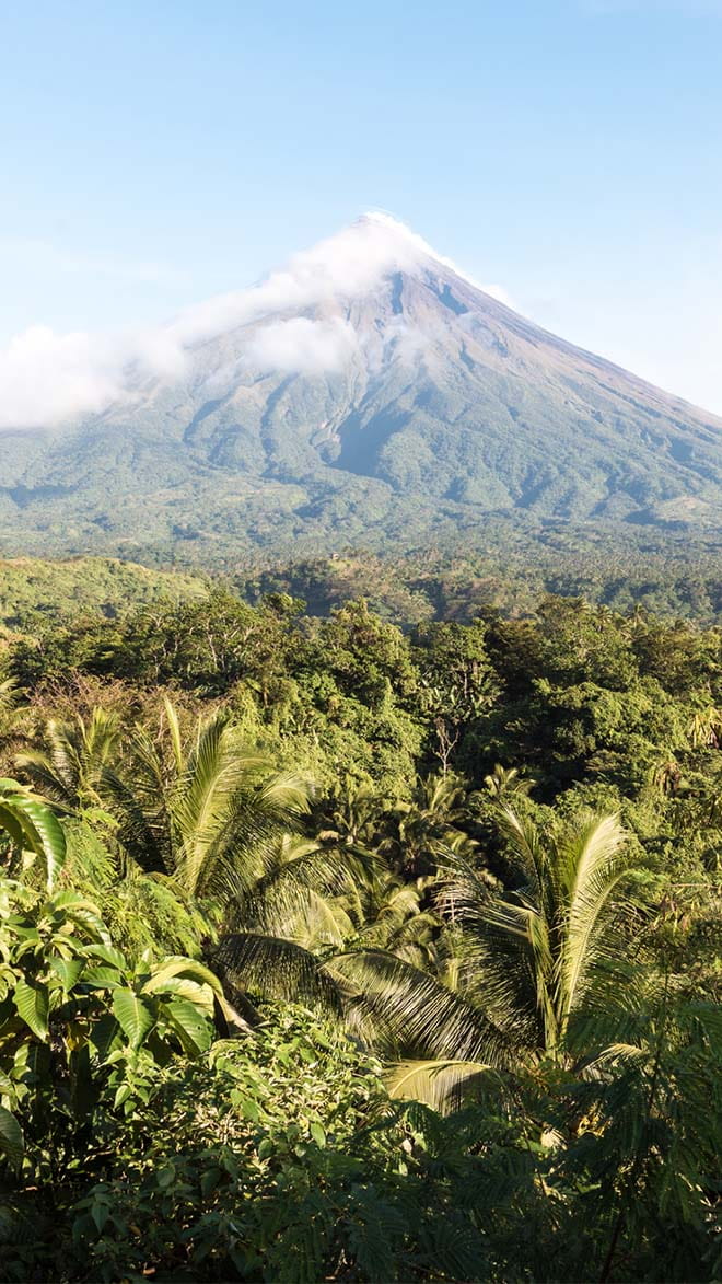 Albay
