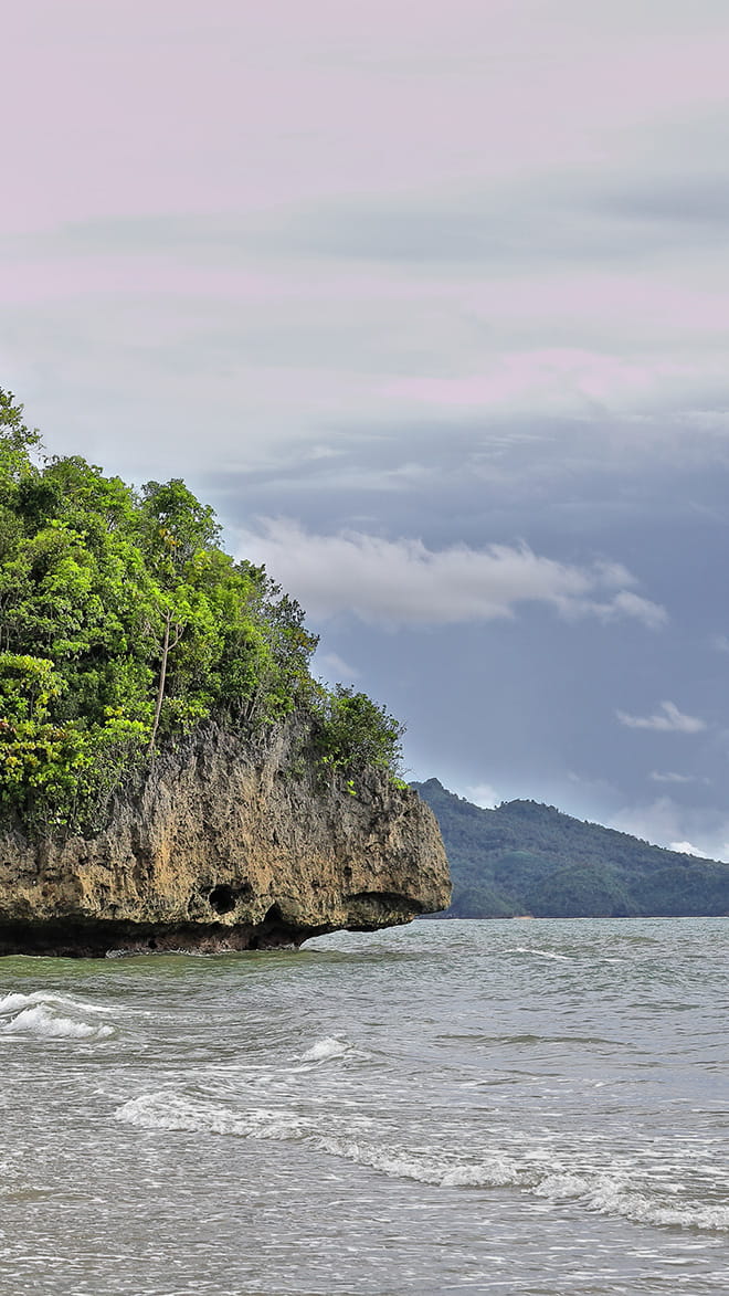 Negros Occidental