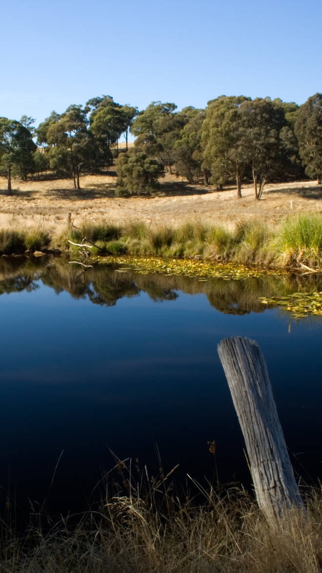 Daylesford