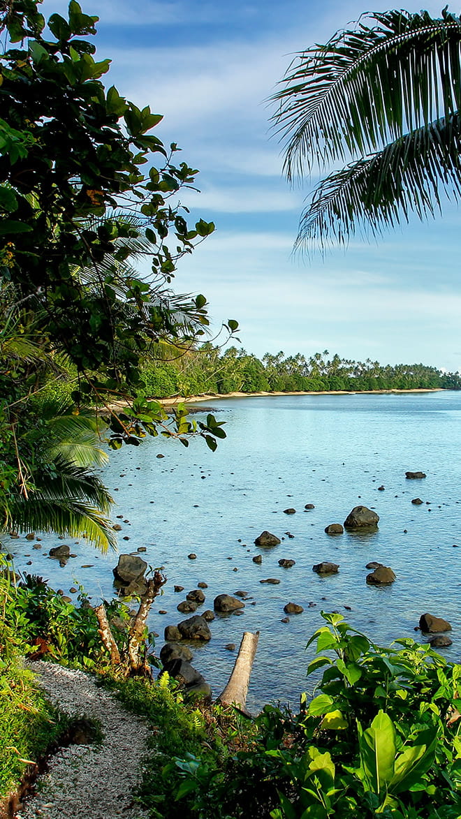 Taveuni Island