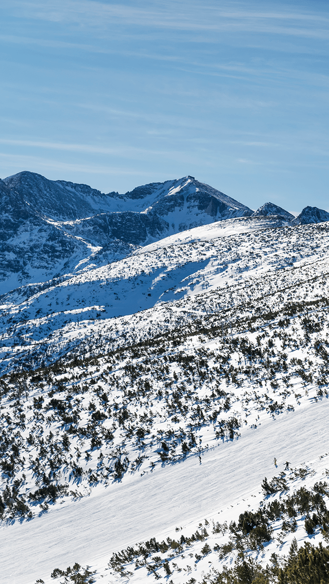 Borovets
