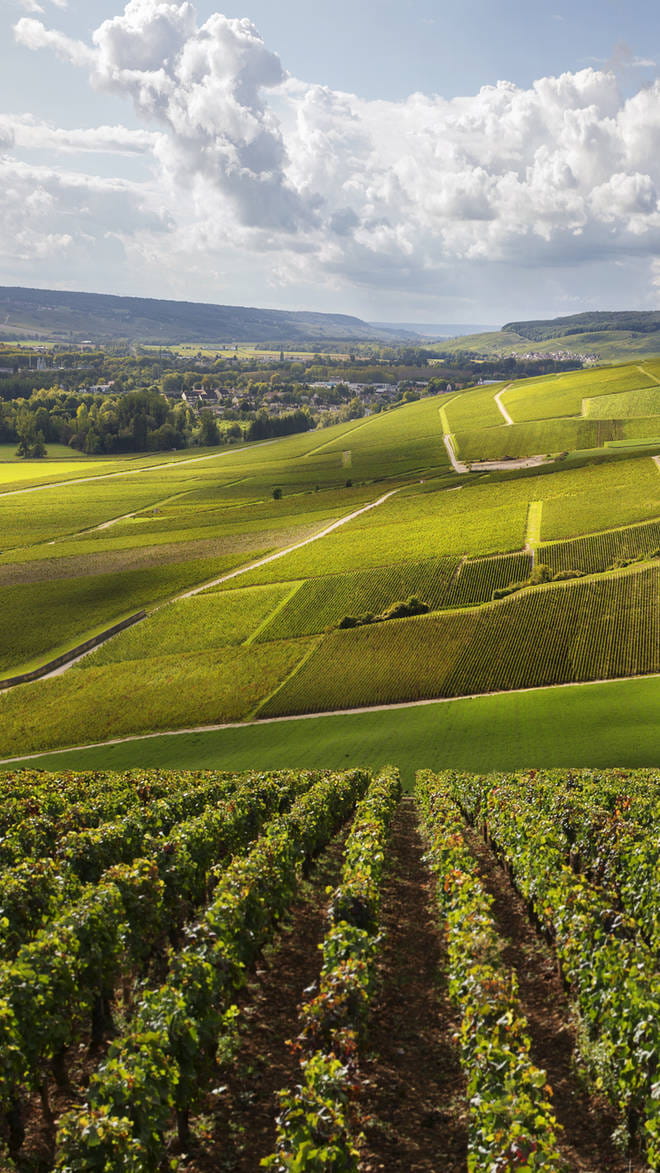 Aquitaine
