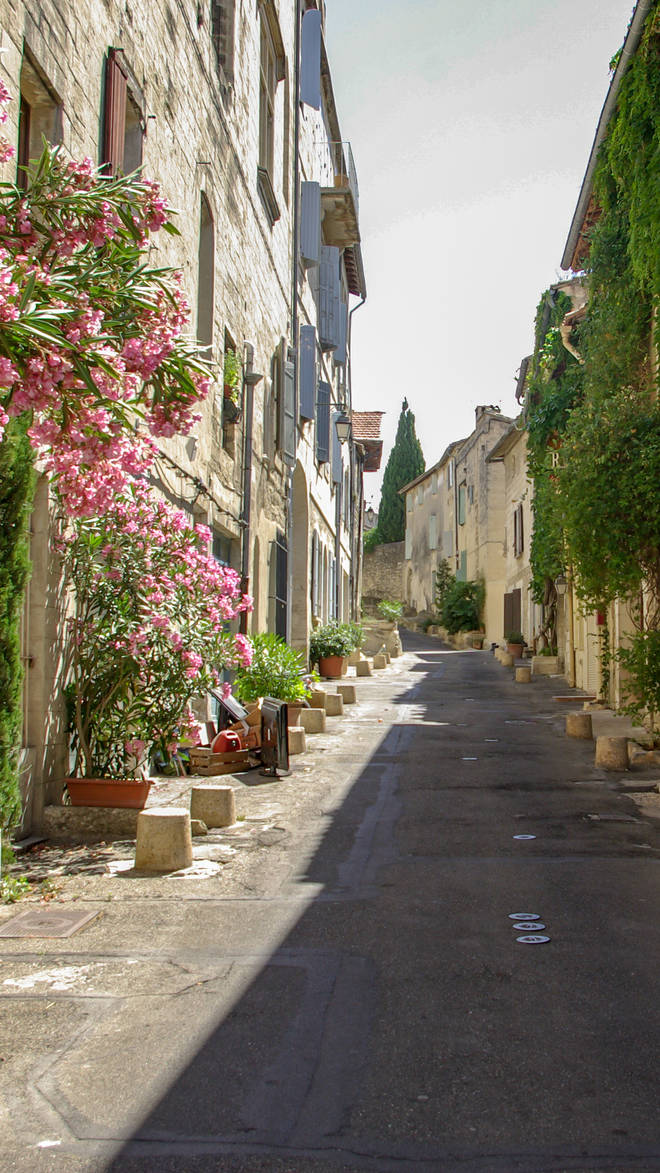 Avignon