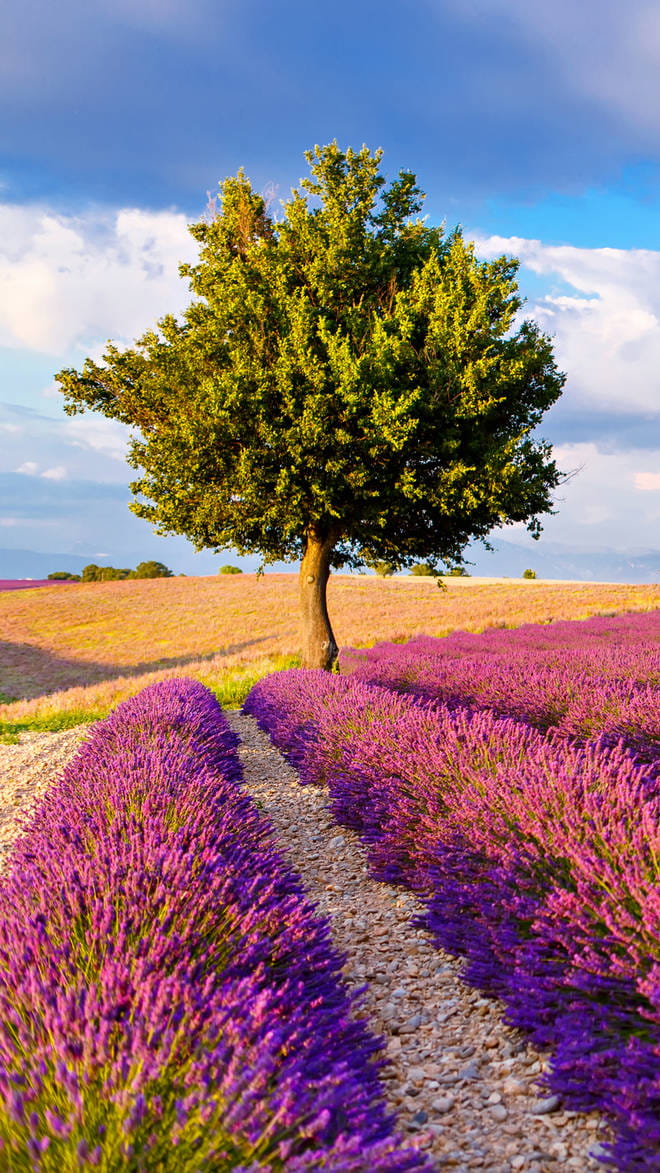 Les Baux de Provence