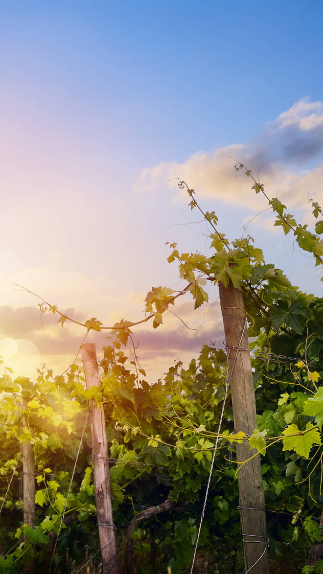 Loire Valley
