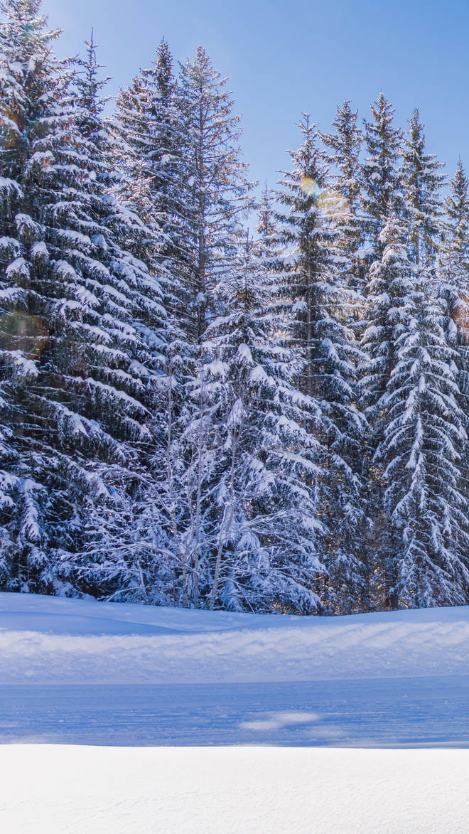 Megeve
