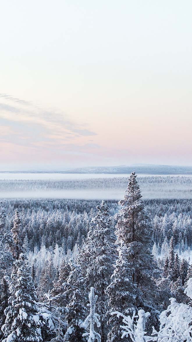 Swedish Lapland