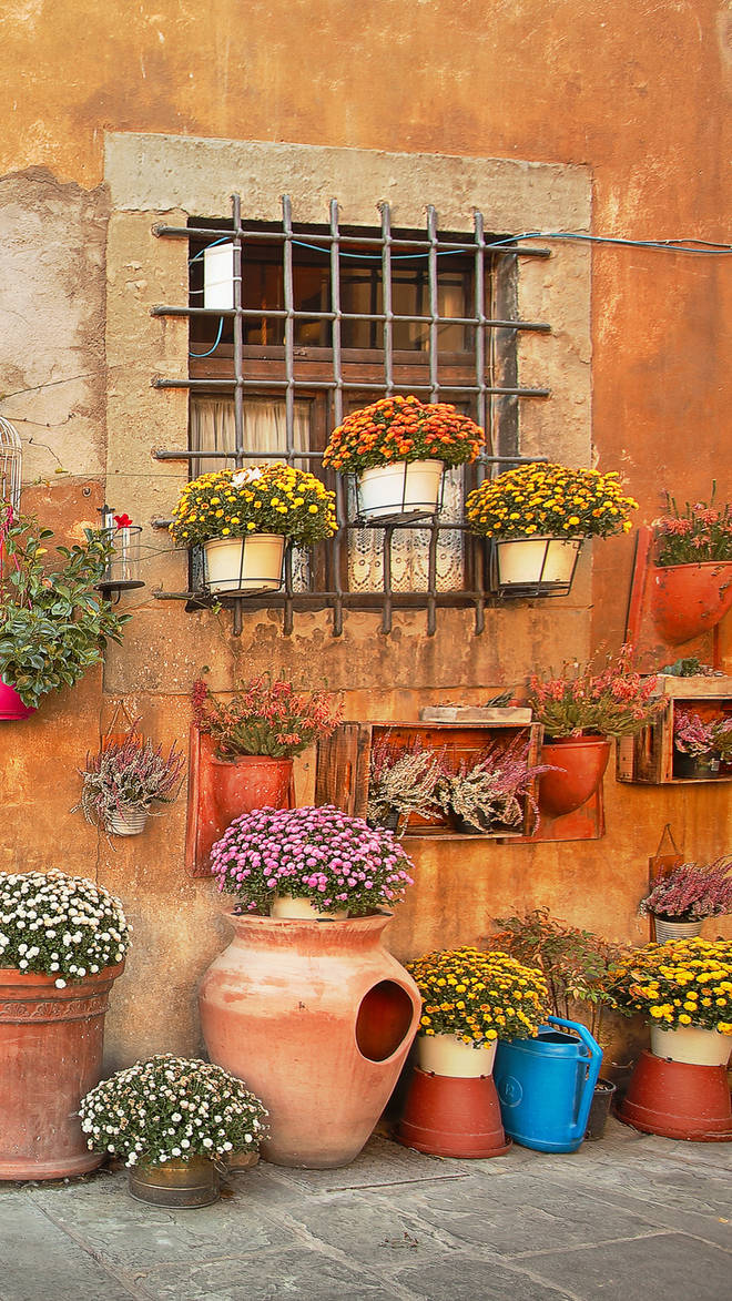 Cortona