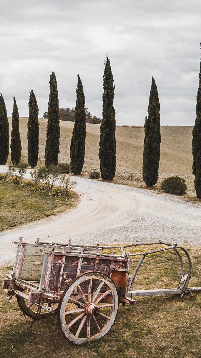 Gaiole in Chianti