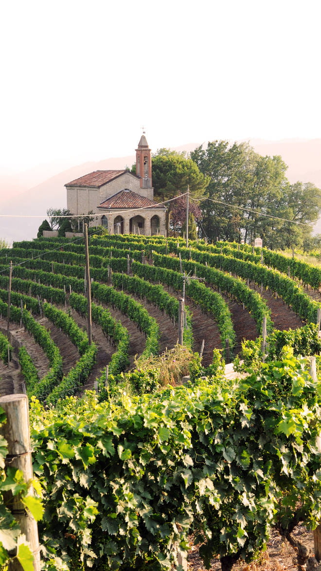 Piedmont