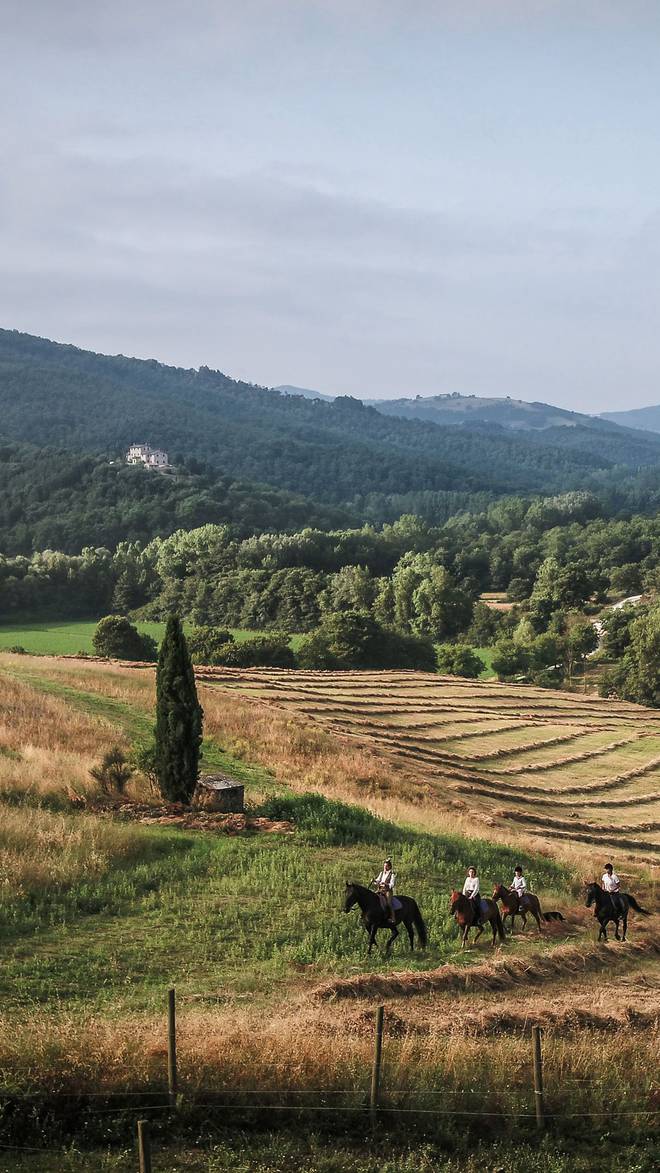 Umbria