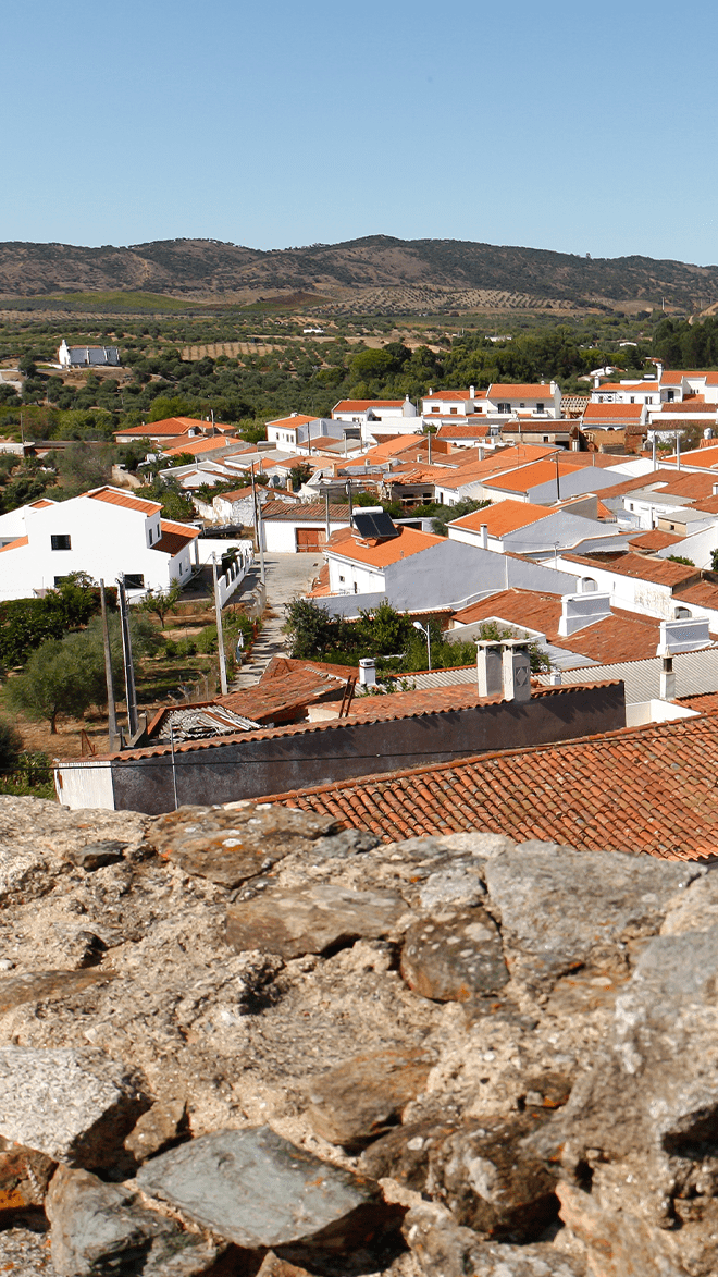 Vidigueira