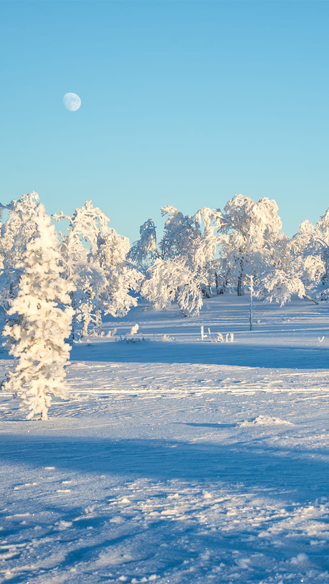 Saariselkä