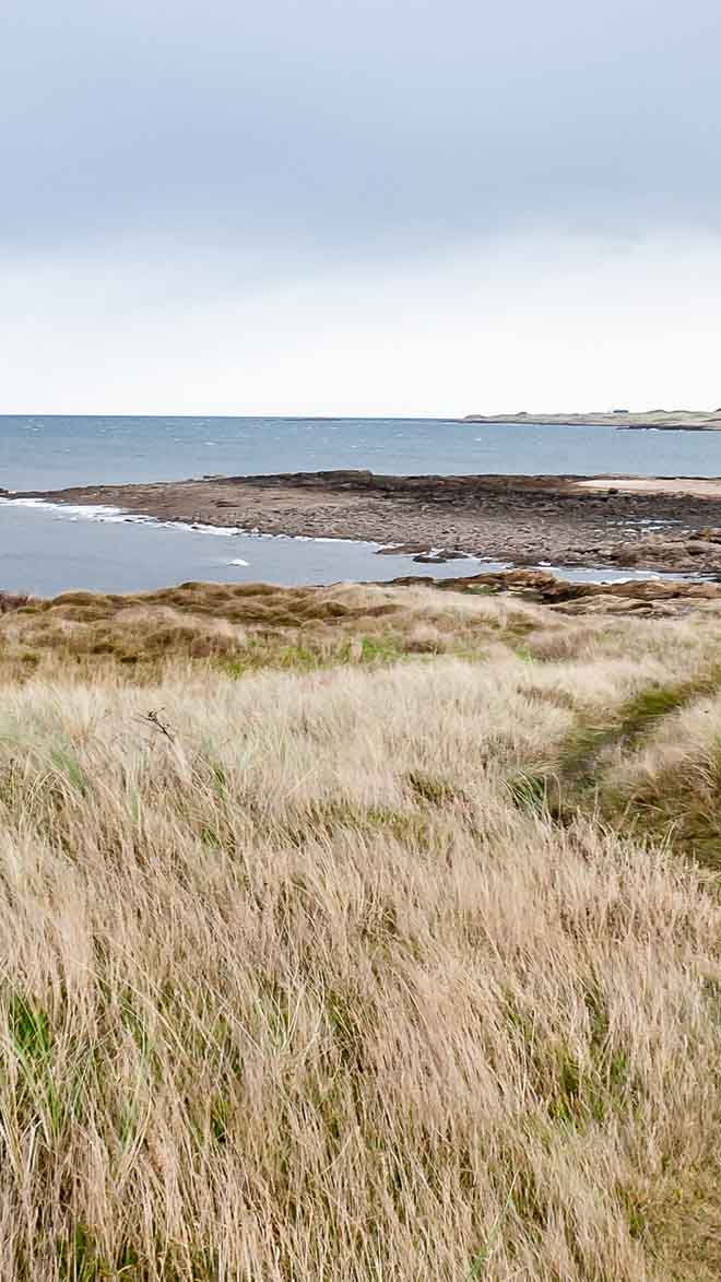 Gullane