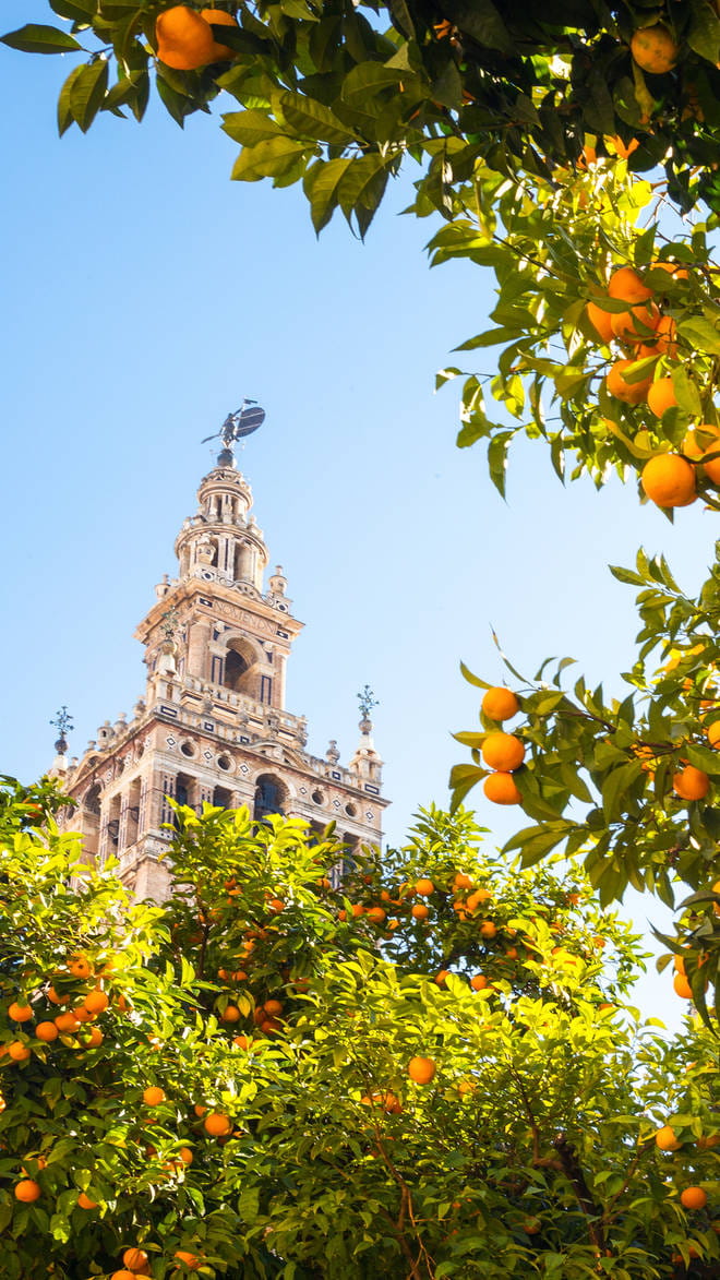 Seville