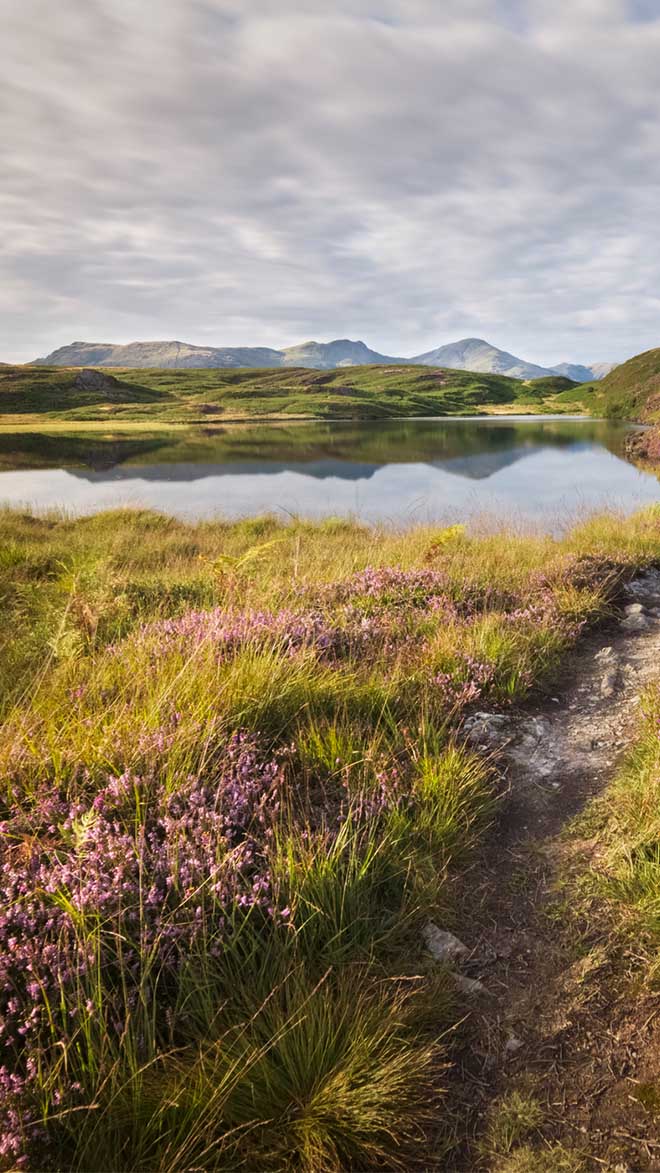 Cumbria