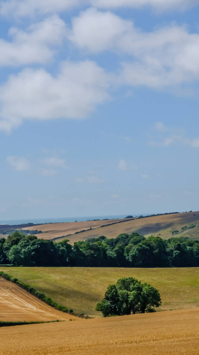 Turners Hill
