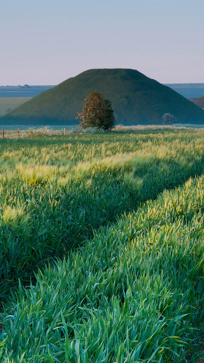 Wiltshire