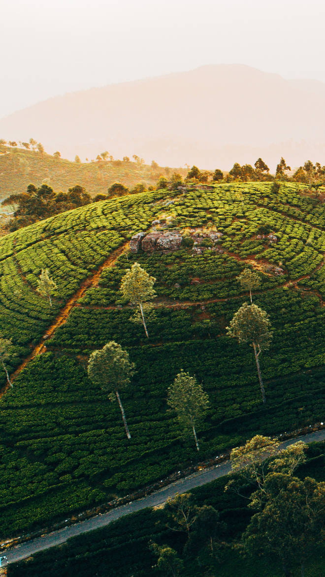 Nuwara Eliya