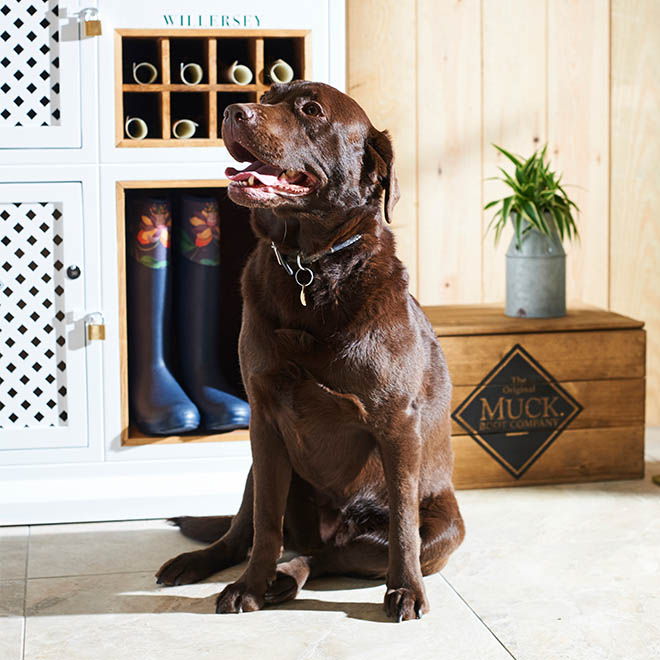 SLH Dog-Friendly Cotswolds