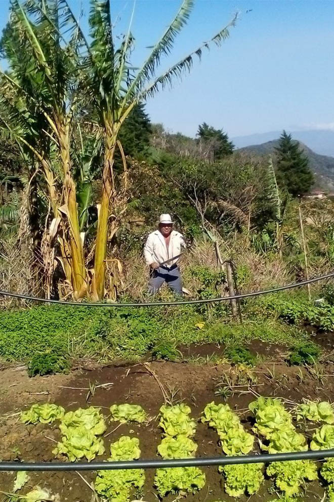 Alta Las Palomas Farm to Table