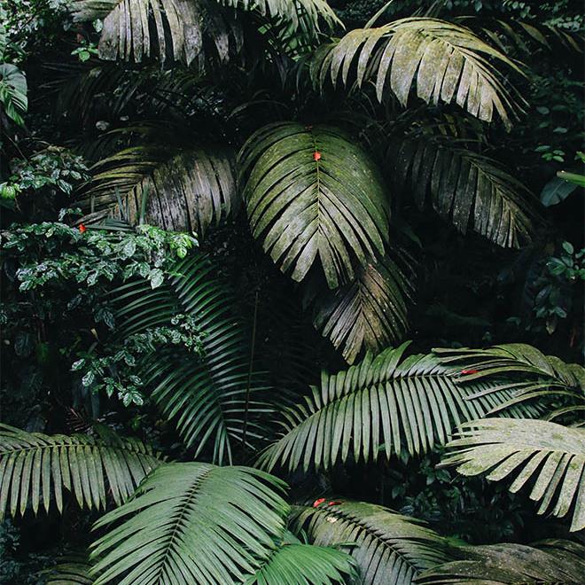 Alta Las Palomas Experiences