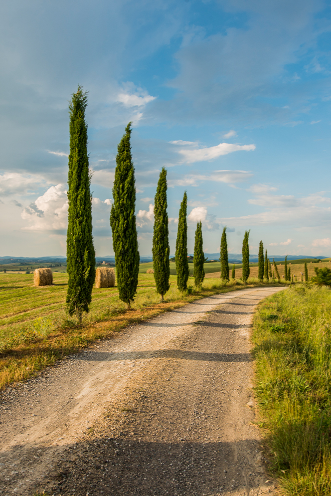 Badia di Pomaio Tuscan trails