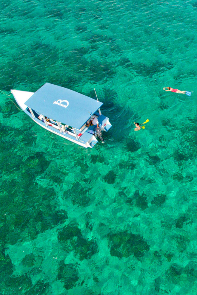 Bluefields Bay Villas Snorkelling