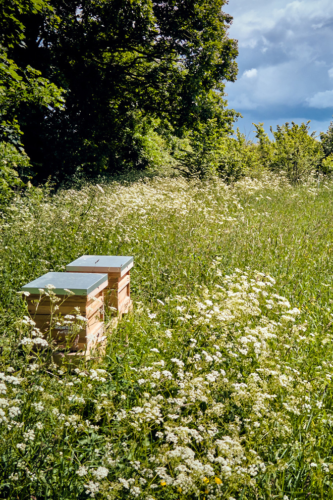 Calcot and Spa beehives