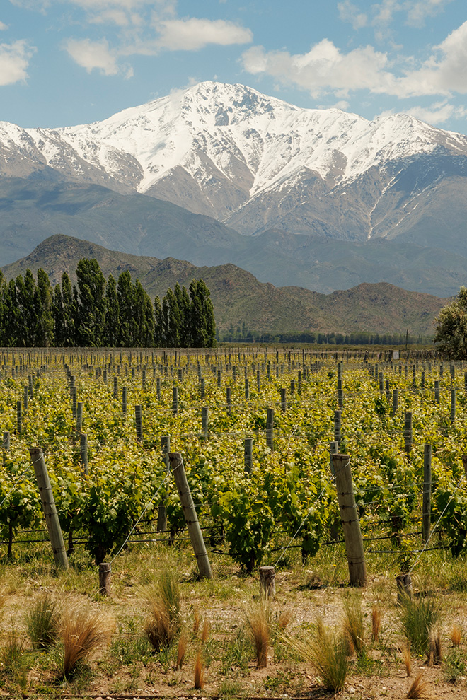 Casa de Uco Vineyards and Wine Resort