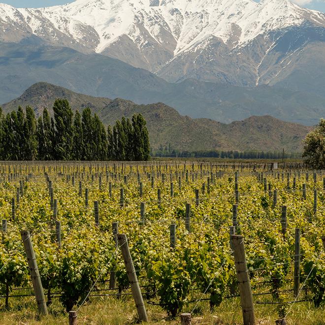 Casa de Uco Vineyards and Wine Resort