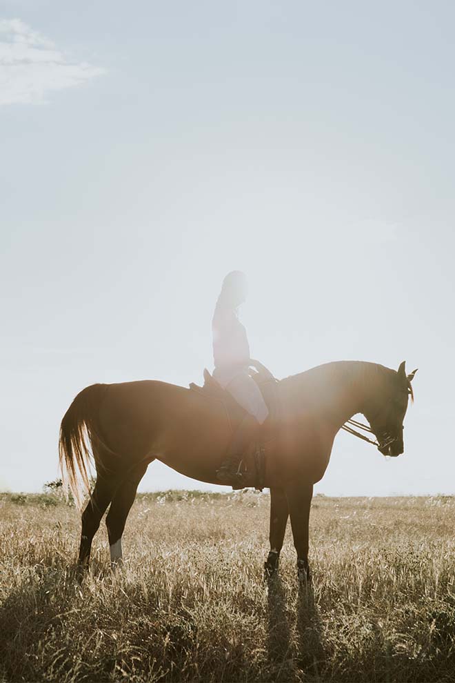 Horse ride at Hotel Casa Palmela