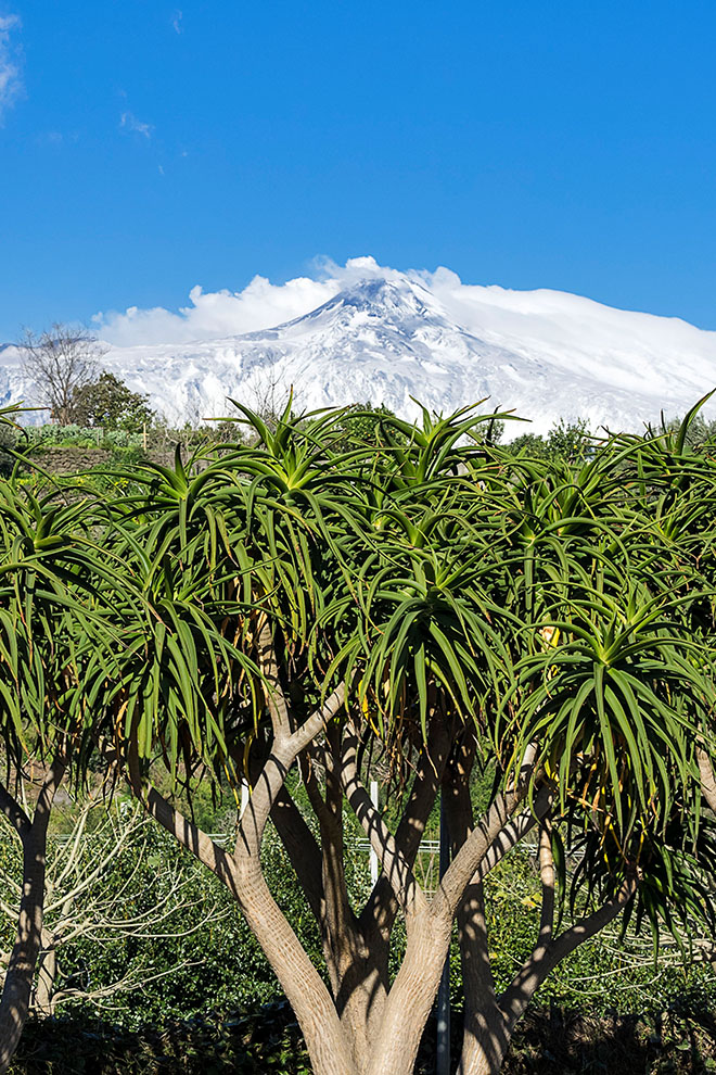 DonnaCarmela Resort & Lodges